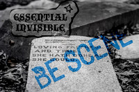 FaithfulInvisibleScene_v3